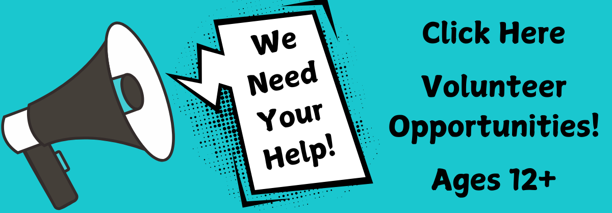 Teen Volunteer Web Graphic